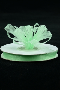 Organza Ribbon , Mint, 3/8 Inch x 25 Yards (1 Spool) SALE ITEM